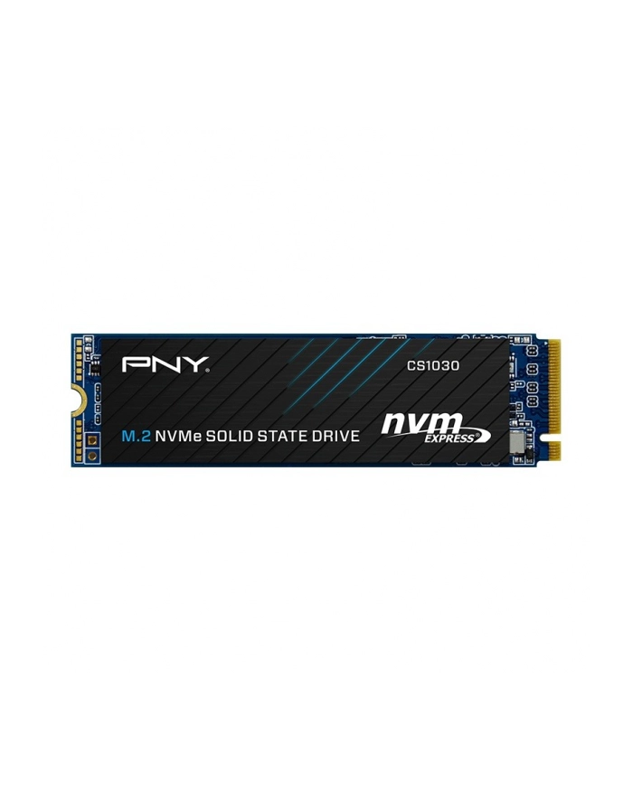 pny Dysk SSD 256GB CS1030 M.2 2280 PCIe BULK główny