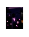 Philips Hue Festavia Globe Outdoor Fairy Lights, 21 m | 30 W - nr 7