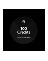 OBDeleven 3 PRO Pack + 100 Credits - nr 4
