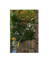 Stanley Cordless chainsaw SFMCPS720M1-QW, 18 V, 20 cm - nr 7