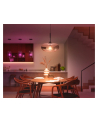 Philips Hue WCA 1100 A60 2P EU | E27 | 8.1 W | White and colour light | Bluetooth and Zigbee - nr 5