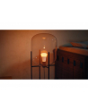 Philips Hue WCA 1100 A60 2P EU | E27 | 8.1 W | White and colour light | Bluetooth and Zigbee - nr 6
