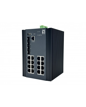 Levelone GE IGU-2071