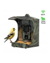 Fotopułapka, kamera leśna Evolveo StrongVision BirdFeeder - nr 1