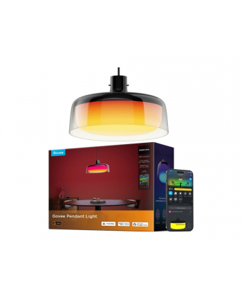 Govee Downlight LED RGBICWW 21W Czarny (6974316991922)