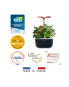 Doniczka Veritable Exky Smart Arctic White - nr 5