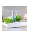 Veritable Smart Arctic White doniczka na zioła VE0068245 - nr 3