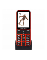 Evolveo EasyPhone LT - nr 1