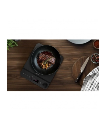 Orava Salente InductPro1