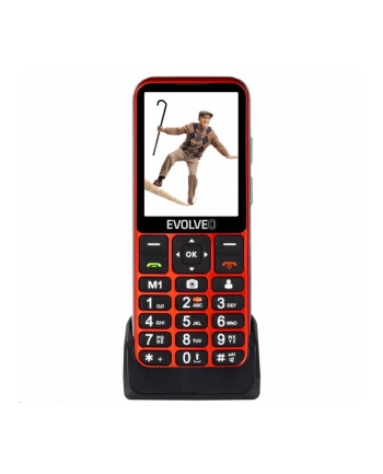 Evolveo EasyPhone LT