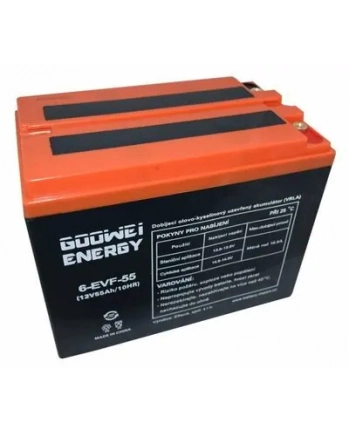Goowei Energy Akumulator trakcyjny Pb VRLA GEL 12V 55Ah (6EVF55)