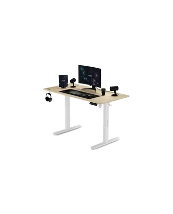 Sense7 Biurko Elektryczne Nojo 120X60 White Pine (5902659844675)