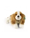 Rappa Maskotka Pluszak Piesek King Charles Leżący Eco Friendly 50cm Prezent - nr 1