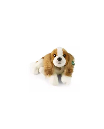 Rappa Maskotka Pluszak Piesek King Charles Leżący Eco Friendly 50cm Prezent