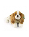 Rappa Maskotka Pluszak Piesek King Charles Leżący Eco Friendly 50cm Prezent - nr 1