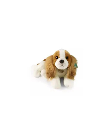Rappa Maskotka Pluszak Piesek King Charles Leżący Eco Friendly 50cm Prezent