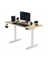 Sense7 Biurko Elektryczne Nojo 120X60 White Pine (5902659844675) - nr 1