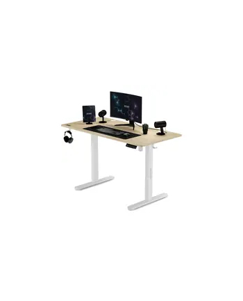 Sense7 Biurko Elektryczne Nojo 120X60 White Pine (5902659844675) nr 1