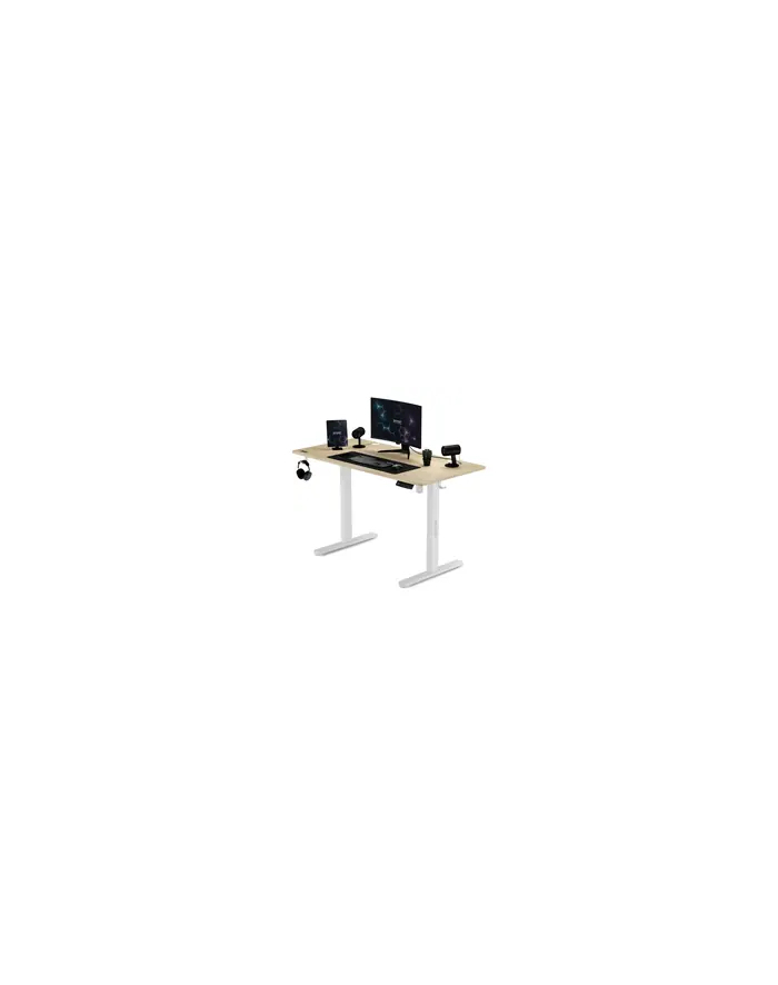 Sense7 Biurko Elektryczne Nojo 120X60 White Pine (5902659844675) główny
