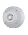 Axis D4100-Ve Mk II Updated (3105001) - nr 1