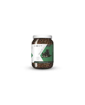 Verm-X Naturalny Granulat Przeciw Pasożytom Jelitowym Dla Psów 650G VE11