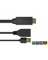 Alcasa HDMI-AD22 adapter kablowy 0,3 m HDMI Typu A (Standard) DisplayPort Czarny - nr 2