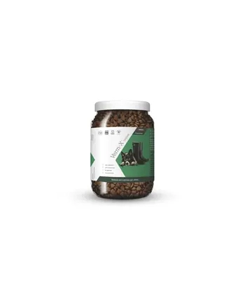 Verm-X Naturalny Granulat Przeciw Pasożytom Jelitowym Dla Psów 650G VE11