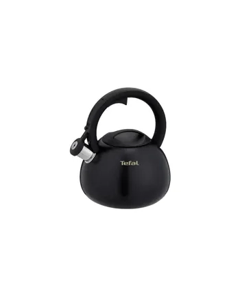 Czajnik nieelektryczny TEFAL N4180410