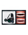 Godox MF-PL Dental Pol filtr do MF-T76 - nr 2