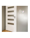 Alecto COA3910 Carbon Monoxide Alarm - 10 Year Sensor - Display - nr 12