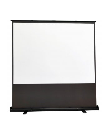 Reflecta Bodenleinwand Portable 226x200 cm 100  Format 16:9