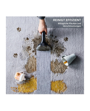 Rowenta IN 5011 Clean It Odplamiacz na mokro-sucho