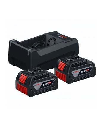 Bosch 2xGBA18V 5.0Ah, GAL12V/18 Starterkit