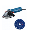 Bosch Winkelschleifer GWS 12-125 Winkelschleifer - nr 1