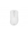 Genesis Zircon 880 Biała (NMG2380) - nr 19