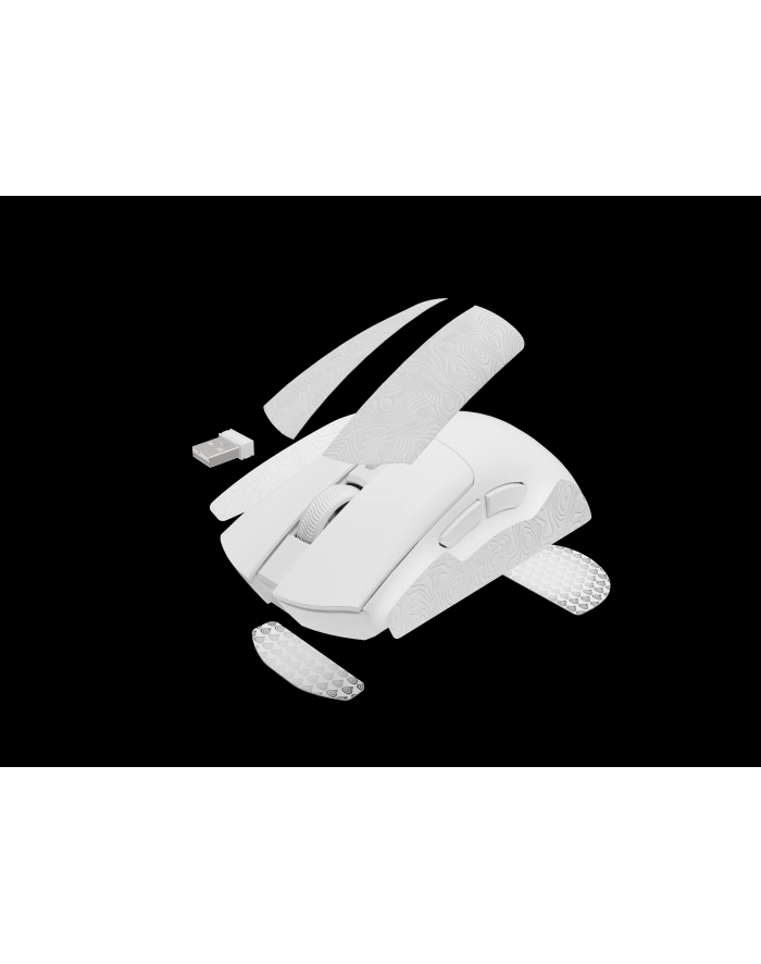Genesis Zircon 880 Biała (NMG2380) główny