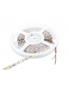 Whitenergy taśma LED 5m | 60szt/m | 5050 | 14.4W/m | 12V DC | 6500K zimna biała - nr 3