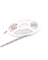 Whitenergy taśma LED 5m | 120szt/m | 3528 | 9.6W/m | 12V DC | zielona - nr 1