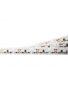 Whitenergy taśma LED 5m | 120szt/m | 3528 | 9.6W/m | 12V DC | zielona - nr 3