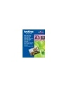 Papier matowy Brother BP60 (25 kartek) (BP60MA) - nr 15