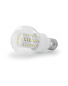 Whitenergy żarówka LED| E27 | 60 SMD| 3W | 230V | barwa ciepła biała| kula B60 - nr 1