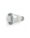 Whitenergy żarówka LED| E27 | 80 LED| 4W | 230V | barwa ciepła biała| reflektor - nr 1