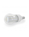 Whitenergy żarówka LED| E14 | 90 LED| 4.5W | 230V | barwa ciepła biała | classic - nr 2