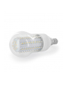Whitenergy żarówka LED| E14 | 90 LED | 4.5W | 230V | barwa zimna biała | classic - nr 1
