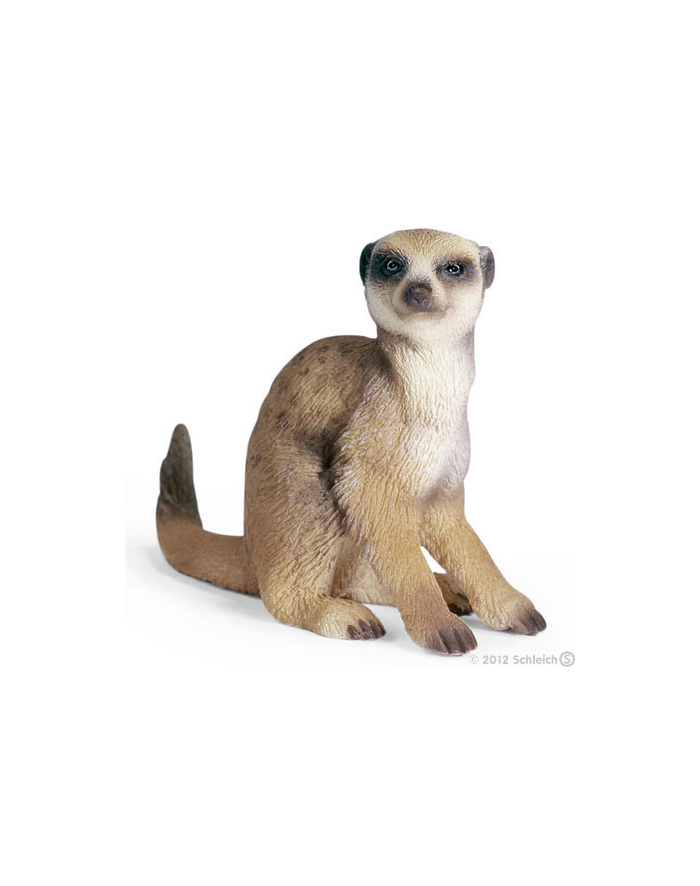 SCHLEICH SURYKATKA SIEDZĄCA główny