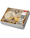 TREFL Karty Art Bridge Cartography 1001 - nr 3