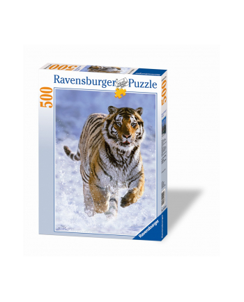 RAVEN. 500 EL. TYGRYS W ŚNIEGU