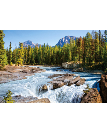 CASTOR 1500 EL. JASPER NAT.PARK, CANADA nr 1