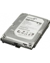 HP 1TB SATA 6Gb/s NCQ 7200 HDD - nr 21