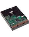 HP 1TB SATA 6Gb/s NCQ 7200 HDD - nr 29